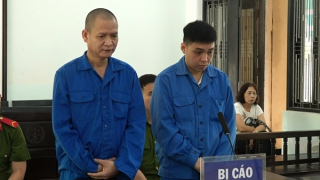 Hai tài xế chở khách Trung Quốc nhập cảnh trái phép lĩnh án