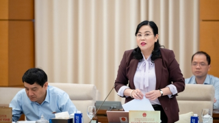 Chính phủ đề xuất phổ cập giáo dục mầm non cho trẻ em mẫu giáo