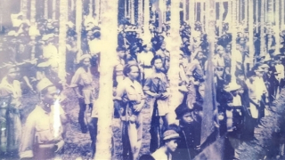 Ký ức hào hùng về vùng căn cứ cách mạng Vườn Cau Đỏ