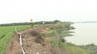 Khởi tố Chi cục trưởng Chi cục quản lý đê điều và phòng chống thiên tai Hưng Yên