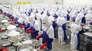 Doanh nghiệp tính chuyện đường dài trước biến động thuế quan