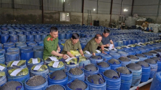Khởi tố, bắt tạm giam 4 đối tượng sản xuất 3.500 tấn giá đỗ ngâm hóa chất