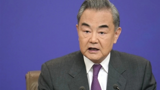 China, Vietnam promote comprehensive strategic cooperation: Chinese official