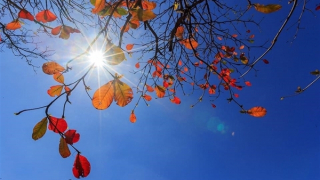 Miền Bắc oi nóng ngột ngạt, nhiều nơi trên 38 độ C