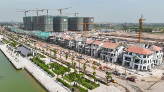 Hàng trăm tỷ đồng phủ xanh đô thị nghỉ dưỡng Sun Group tại Nam Hà Nội