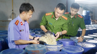 Khi thực phẩm “bẩn” len lỏi vào thị trường