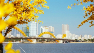 Đà Nẵng điều chỉnh còn 16 đơn vị hành chính cấp xã, phường và đặc khu