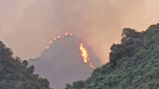 Cảnh báo sự lơ là trong quản lý và giám sát rừng