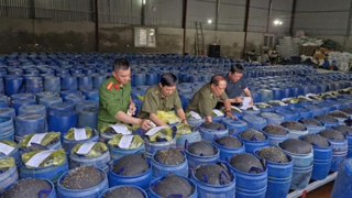 Hàng ngàn tấn giá đỗ “ngậm” hoá chất tuồn ra thị trường, nguy hiểm cho người sử dụng như thế nào?