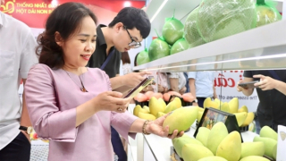 Tôn vinh "Tinh hoa trái cây Việt”