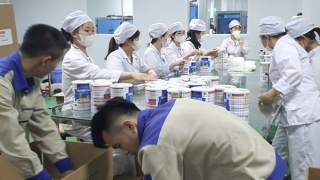 Bộ Y tế thu hồi 12 sản phẩm sữa bột giả