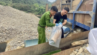 Bức xúc hoạt động khai thác cát sỏi lòng sông Gâm tận thu vàng sa khoáng