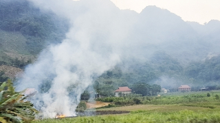 Miên man nhớ... khói