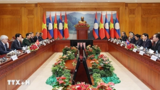 Dành ưu tiên cao nhất cho việc củng cố và tăng cường quan hệ Việt Nam-Lào