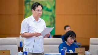 Tổ chức hệ thống Tòa án 3 cấp, chuyển các TAND sơ thẩm chuyên biệt thành các Tòa chuyên trách