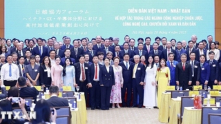 Nhật Bản luôn là đối tác đặc biệt, chiến lược và tin cậy của Việt Nam