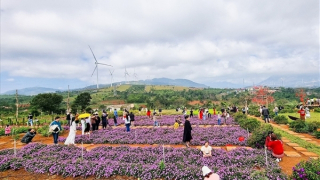 Tỉnh Quảng Trị xây dựng những làng quê kiểu mẫu