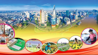 Tín dụng chính sách chắp cánh ước mơ cho người dân TP Hồ Chí Minh