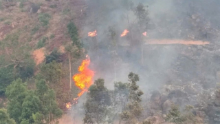 50 người kịp thời dập tắt đám cháy đang lan vào rừng