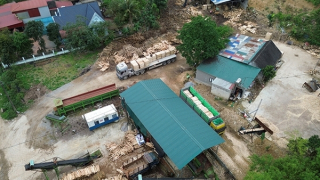 Hàng loạt cơ sở thu mua, chế biến gỗ trái phép tái diễn hoạt động