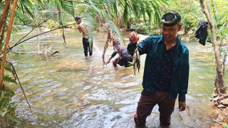 Mùa săn cá mát giữa đại ngàn Trường Sơn