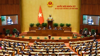 Tập trung đổi mới công tác xây dựng và thi hành pháp luật