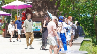 240.000 khách tới Đà Lạt dịp nghỉ lễ, chưa phát hiện nạn “chặt chém”