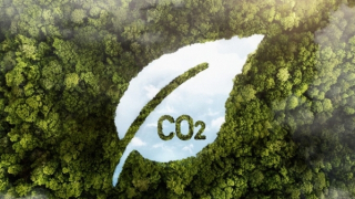 Bài 2: Doanh nghiệp cần giải pháp, các bên cần chung tay