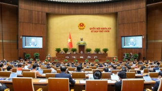 Cử tri đánh giá cao việc điều tra, triệt phá các vụ sữa giả, thuốc giả