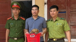 Thả động vật cực kỳ nguy cấp về Vườn Quốc gia Phong Nha - Kẻ Bàng