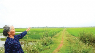 Có một bến đò C bên dòng Bến Hải…