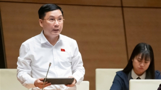 Đề nghị áp thuế tiêu thụ đặc biệt đối với nước giải khát có hàm lượng đường trên 5g/100ml