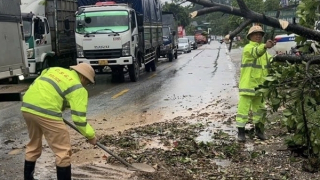 CSGT cắt cây, chở người qua điểm ngập trên Quốc lộ  2