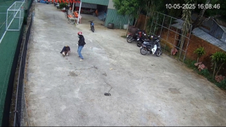 Truy tìm đối tượng chích điện tấn công nhiều người ở Phú Quốc