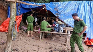 Cơn khát vàng giữa rừng sâu chưa hạ nhiệt