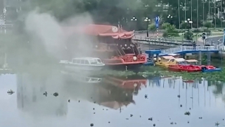 Chuột cắn dây điện gây cháy du thuyền ở Long An