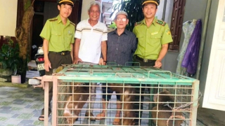 Cứu hộ động vật quý hiếm có tên trong Sách đỏ