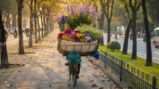 Hà Nội trời mát, Nam Bộ mưa to về chiều tối