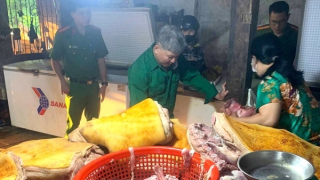 Gom thịt heo trôi nổi ôi thiu, nhiễm dịch tả lợn châu Phi về sơ chế để bán