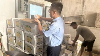 Quảng Ninh xử lý 56 vụ vi phạm an toàn thực phẩm, tiêu hủy hàng gần 1,7 tỷ đồng