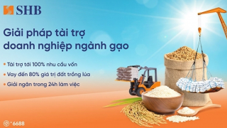 SHB ra mắt giải pháp tài trợ linh hoạt ngành gạo, đồng hành cùng Chính phủ phát triển nông nghiệp bền vững