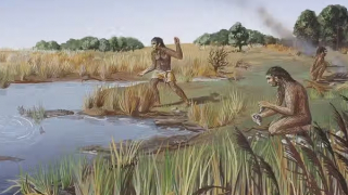 Tổ tiên loài người suýt tuyệt chủng cách đây 930.000 năm