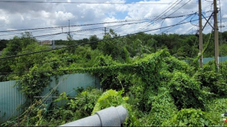 Nhiều vướng mắc trong xử lý tài sản thi hành án từ các vụ án kinh tế