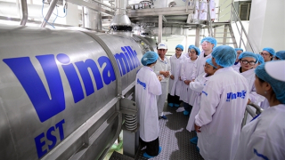 Chứng nhận độc lập – căn cứ để người tiêu dùng lựa chọn sữa bột