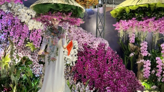 Khai mạc Festival hoa lan lần 3: Hành trình “Chuyến tàu đa sắc” kết nối văn hóa và thương mại