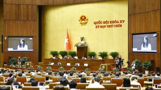 Nhiều chính sách có tính vượt trội với hộ, cá nhân kinh doanh