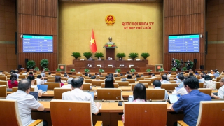 Miễn kiểm tra thực tế tại doanh nghiệp, hộ kinh doanh, cá nhân kinh doanh tuân thủ tốt quy định