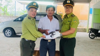 Loại bỏ sử dụng động vật hoang dã nguy cấp, quý hiếm trong y học cổ truyền