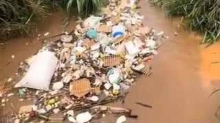 Xả thải bừa bãi, dân Đà Lạt lãnh đủ