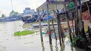 Sạt lở bờ sông Ông Chưởng khiến 10 căn nhà ảnh hưởng